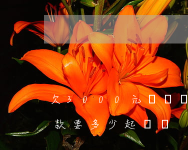 欠3000元訴訟費多少(起訴3000元欠款要多少起訴費)