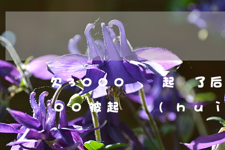 欠3000塊錢起訴了后果是什么(欠款3000被起訴會(huì)有什么后果)