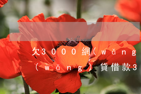 欠3000網(wǎng)貸利息怎么算(網(wǎng)貸借款3000年利率怎么算)