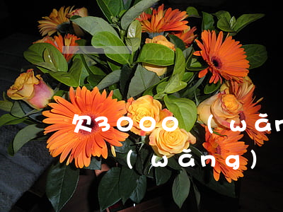 欠3000網(wǎng)貸塊錢可以起訴嗎(網(wǎng)貸欠3000塊錢會(huì)被起訴嗎)