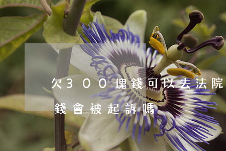 欠300塊錢可以去法院起訴嗎(欠300塊錢會被起訴嗎)