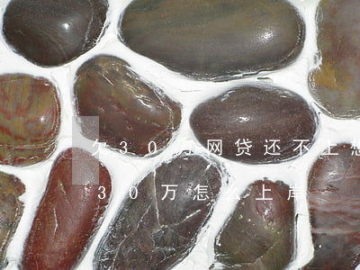 欠30万网贷还不上想学做自媒体-欠网贷30万怎么上岸