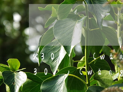 欠30幾萬網(wǎng)貸還不起了(欠了30萬網(wǎng)貸還不上怎么辦)