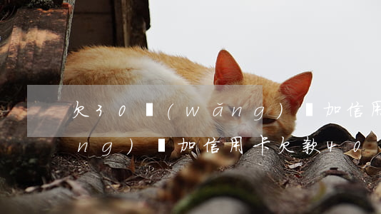 欠30網(wǎng)貸加信用卡(網(wǎng)貸加信用卡欠款40萬)