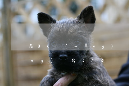 欠30網(wǎng)貸的人(各種網(wǎng)貸欠了10幾萬)