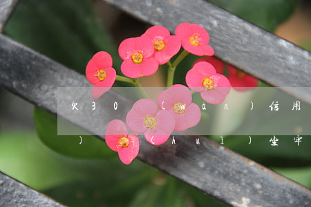 欠30萬(wàn)信用卡和網(wǎng)貸會(huì)坐牢嗎(欠30萬(wàn)網(wǎng)貸信用卡怎么還)