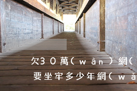 欠30萬(wàn)網(wǎng)貸不還要坐牢多少年(網(wǎng)貸欠30萬(wàn)2年了沒(méi)還)