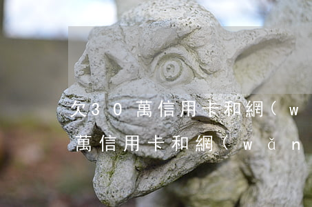 欠30萬信用卡和網(wǎng)貸(欠30萬信用卡和網(wǎng)貸還款方案)