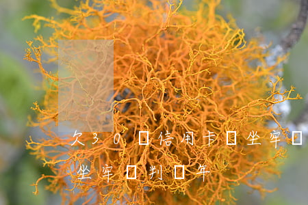 欠30萬信用卡會坐牢嗎(欠30萬信用卡會坐牢嗎判幾年)