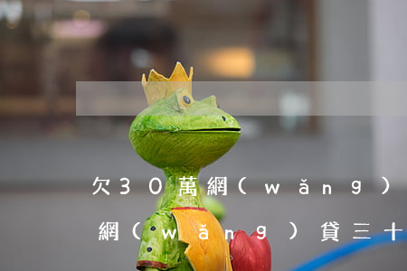 欠30萬網(wǎng)貸干一票(我欠各種網(wǎng)貸三十多萬)