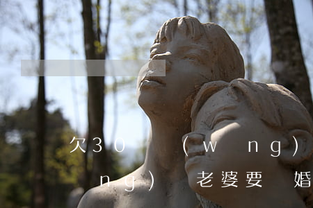 欠30萬網(wǎng)貸(欠30萬網(wǎng)貸,老婆要離婚)