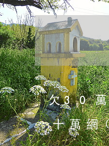 欠30萬網(wǎng)貸的怎么還(欠了三十萬網(wǎng)貸怎么辦)