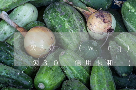 欠30萬網(wǎng)貸還能辦信用卡么(欠30萬信用卡和網(wǎng)貸)