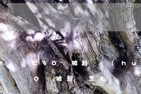 欠30萬被起訴會(huì)坐牢嗎(欠人30萬被起訴怎么辦)