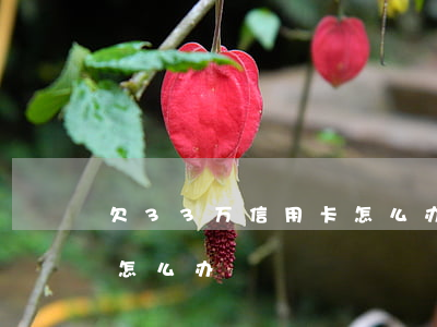 欠33万信用卡怎么办(欠三十多万信用卡该怎么办)