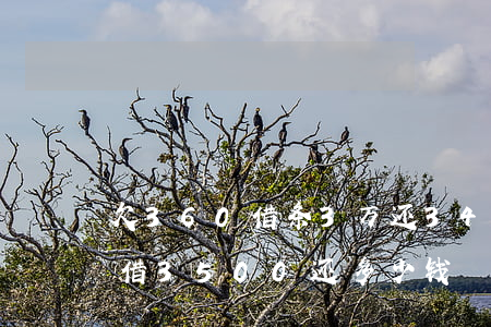欠360借条3万还34000(360借条借3500还多少钱)