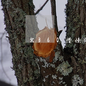 欠360借条500块钱不还