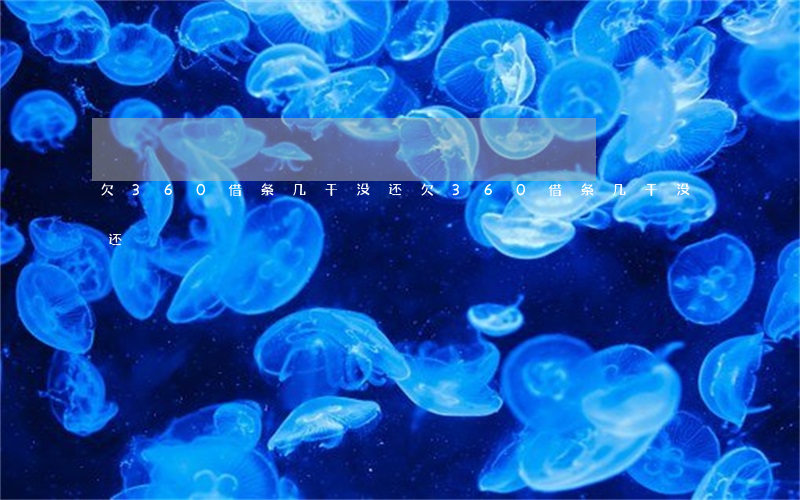 欠360借条几千没还(欠360借条几千没还)