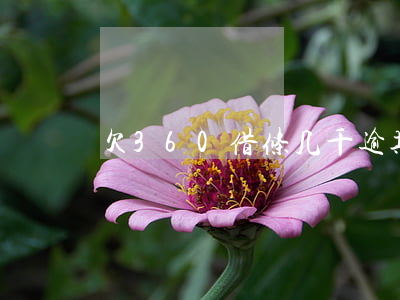 欠360借条几千逾期半年