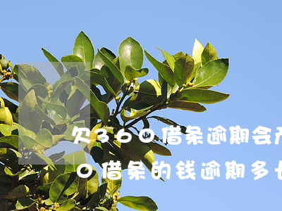 欠360借条逾期会产生什么后果-欠360借条的钱逾期多长时间会被起诉