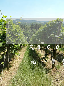 欠360借條13萬(360借條30000元一年多沒還了)
