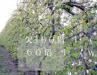 欠360借條1萬(wàn)6怎么辦(欠360借條1萬(wàn)6怎么辦)