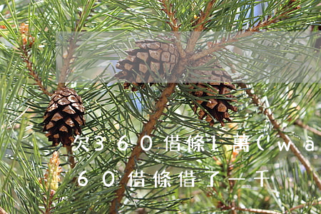 欠360借條1萬(wàn)怎么辦(我在360借條借了一千)