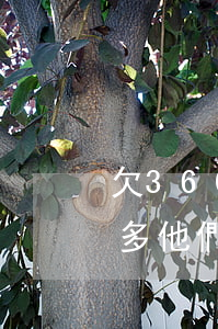 欠360借條1萬(欠360借條20000多他們說要起訴有用嗎)