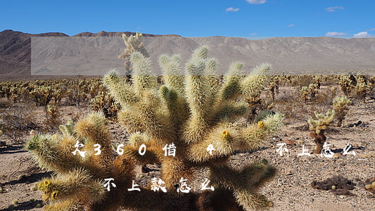 欠360借條4萬還不上怎么辦(360借條還不上款怎么辦)