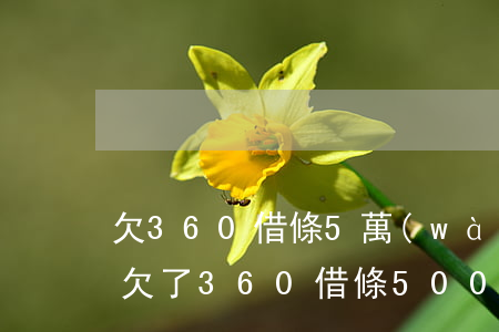 欠360借條5萬(wàn)還不上怎么辦(欠了360借條5000還不起了會(huì)被投訴嗎)