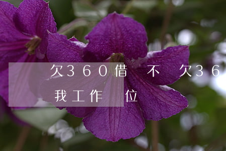 欠360借條不還(欠360借條不還會通知我工作單位嗎?)
