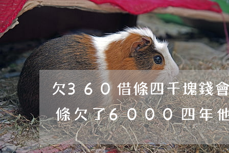 欠360借條四千塊錢會上法庭么(360借條欠了6000四年他起訴會在多長時間)