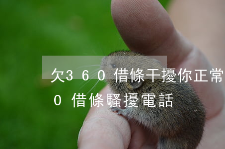 欠360借條干擾你正常通話(經常收到360借條騷擾電話)