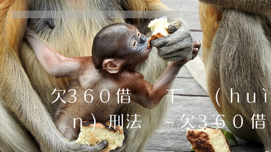 欠360借條幾千塊會(huì)承擔(dān)刑法嗎-欠360借條幾千塊會(huì)承擔(dān)刑法嗎知乎