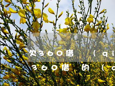 欠360借條錢(qián)還不了怎么辦(360借條的錢(qián)還不上怎么辦)