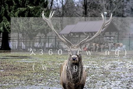 欠360網(wǎng)貸3w元(360網(wǎng)貸能貸多少錢)