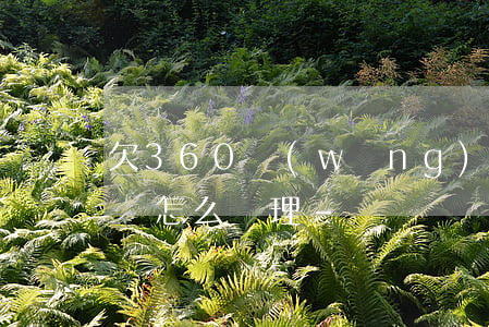 欠360網(wǎng)貸無(wú)力償還怎么處理-