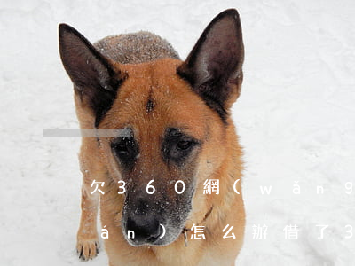 欠360網(wǎng)貸還不了錢(qián)怎么辦(借了360網(wǎng)貸沒(méi)還上結(jié)果怎么辦)