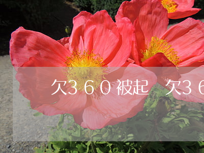 欠360被起訴 欠360被起訴