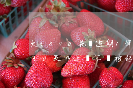 欠3800花唄逾期1年(欠花唄700逾期30天以上,會不會被起訴)