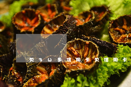 欠3W多信用卡(欠信用卡3万怎么自救)