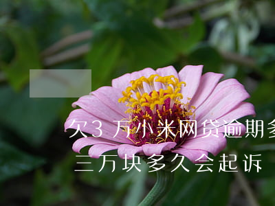 欠3万小米网贷逾期多久会被起诉(小米逾期三万块多久会起诉)