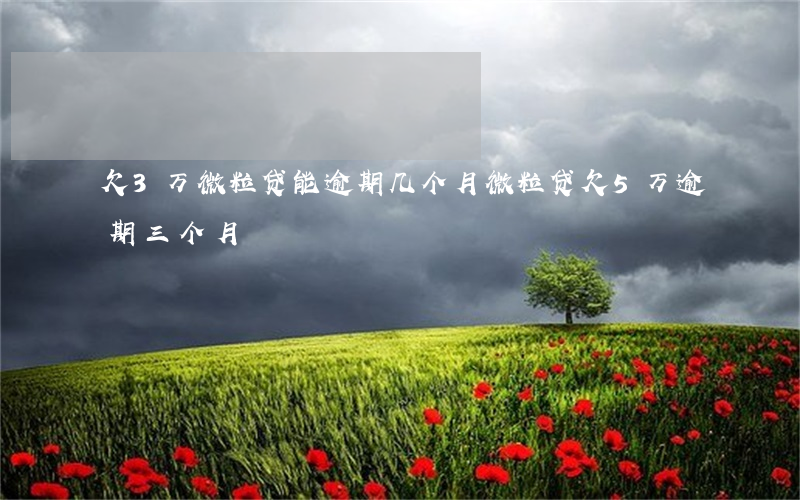 欠3万微粒贷能逾期几个月(微粒贷欠5万逾期三个月)