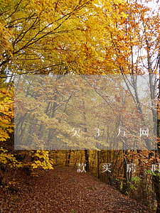 欠3万网贷会影响买房吗(欠3万网贷还能贷款买房吗)