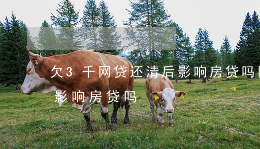 欠3千网贷还清后影响房贷吗(网贷负债三万影响房贷吗)