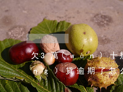 欠3萬(wàn)十幾個(gè)網(wǎng)貸逾期了怎么辦(欠3萬(wàn)十幾個(gè)網(wǎng)貸逾期了怎么辦)