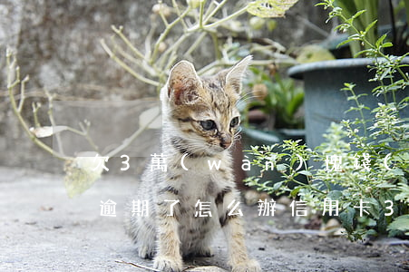 欠3萬(wàn)塊錢(qián)信用卡逾期了怎么辦(信用卡3000元逾期怎么辦)