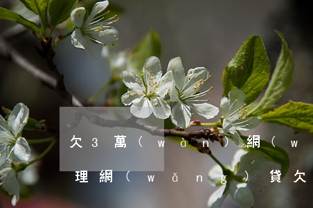 欠3萬(wàn)網(wǎng)貸怎么處理(網(wǎng)貸欠了3萬(wàn)塊錢(qián)怎么辦)