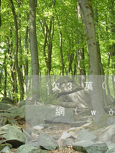 欠3萬(wàn)網(wǎng)貸怎么還(網(wǎng)貸欠了3萬(wàn)多怎么辦)