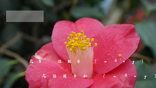欠3萬信用卡網(wǎng)貸還不上怎么辦(欠信用卡和網(wǎng)貸三十多萬還不上怎么辦)